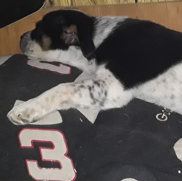 Meet your Posher, Hollaaaaa Hollaaaaa🤙🤙 I'm Tampa - Picture 10 of 16